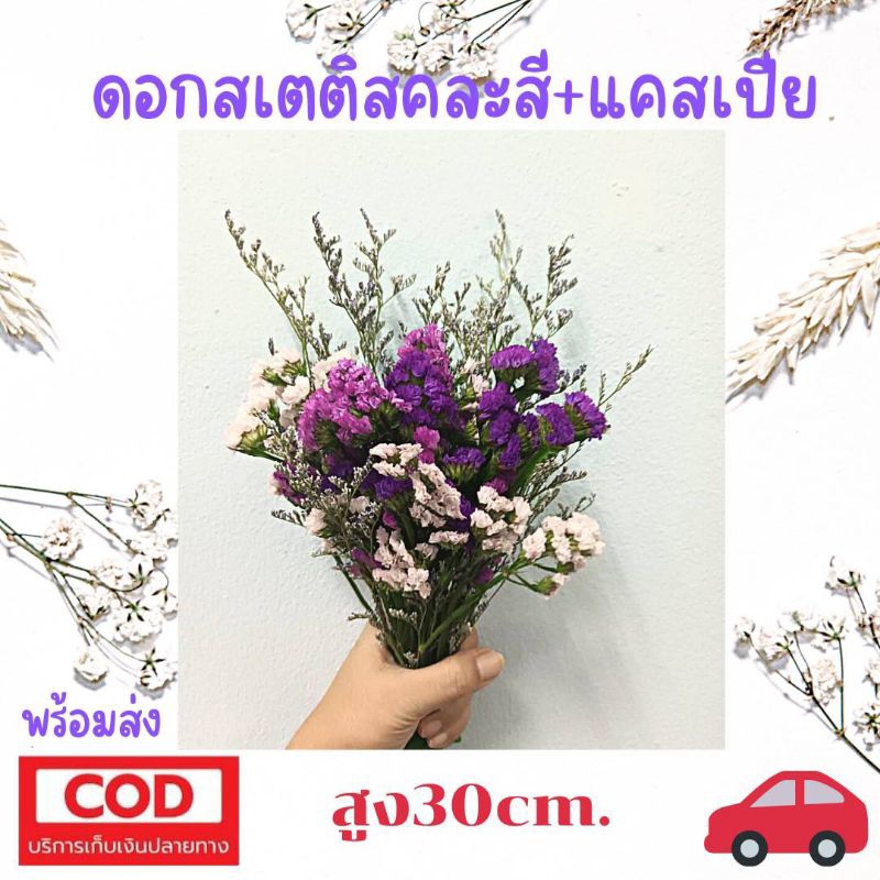 ดอกไม้แห้ง ดอกสเตติสคละสี+แคสเปียเป็นดอกไม้แห้งนำไปจัดช่อเอง ตกแต่งพร็อพ