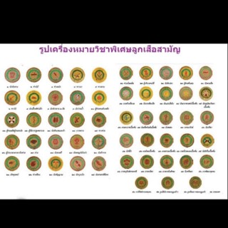 อาร์ม วิชาพิเศษ ลูกเสือ สามัญ ป้าย เครื่องหมาย