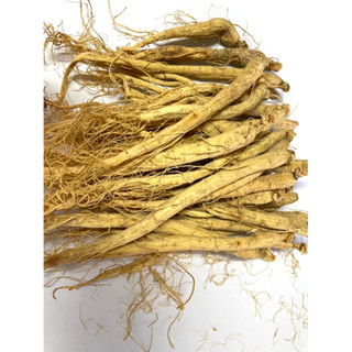 โสม 人参 长白山人参 GINSENG RADIX ETRHIZOMA