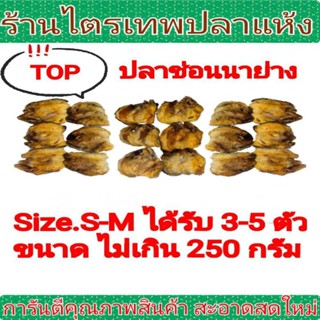 ปลาช่อนนาย่างSize.S-M ได้3-5ตัว