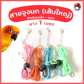 สายจูงนกแก้วเส้นใหญ่ 3 มิล ยาว 1 เมตร ยืดหยุ่นได้ ปรับความยา…