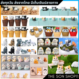 ตุ๊กตาแมว โมเดลแมว กาชาปองแมว พร้อมส่งจากไทย มีเก็บเงินปลายทาง