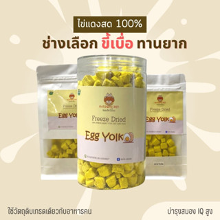 ไข่แดงฟรีซดราย (Egg Yolk Cube Freeze Dried) ไข่แดงอบแห้ง อาหารแมว อาหารสุนัข อาหารเสริมแมว