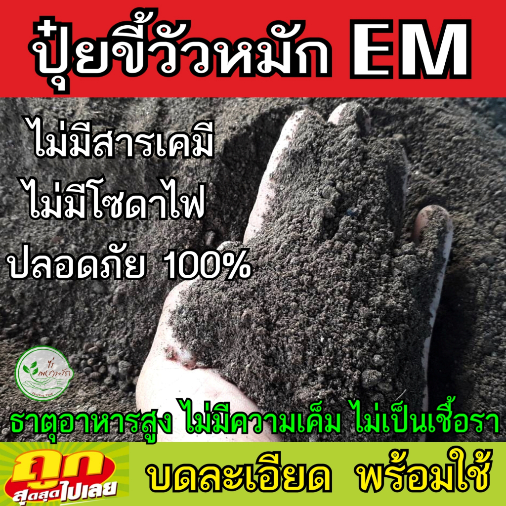 ขี้วัวหมัก EM บดละเอียดพร้อมใช้ ผสมไตรโครเดอร์ม่า 1 กิโล ขี้วัว หมัก EM ปุ๋ยคอก​ มูลวัว ปุ๋ยหมัก