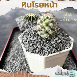 🌵 หินเกล็ด เกล็ดดำ  เบอร์ 3.5 และ 4 บรรจุ 500 g. หินโรยกระถาง 🪴🪴 หินโรยหน้ากระถาง หินตกแต่งสวน หินแคดตัส🌵