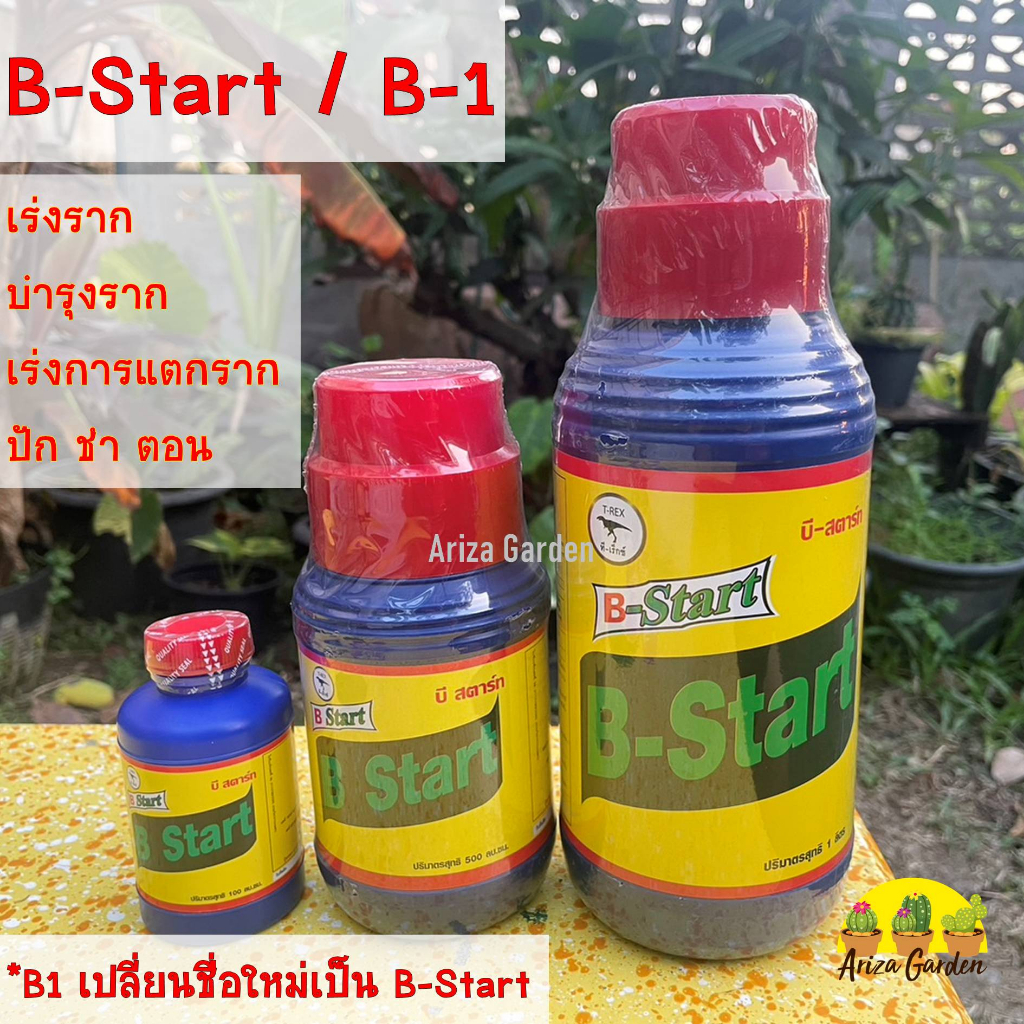 B-Start น้ำยาเร่งราก ยาเร่งราก บำรุงรากแคคตัส,พืชและต้นไม้อื่นๆ (B1 เปลี่ยนชื่อใหม่เป็น B-Start)