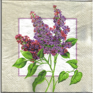 Pladao Napkin ภาพ ช่อดอกไลแลค ในกรอบเทา Lilac กระดาษ แนพกิ้น สำหรับงานศิลปะ เดคูพาจ decoupage ขนาด L 33x33