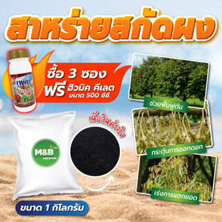 💥 3 แถม ฮิวมิค คีเลต 💥สาหร่ายสกัดผง (Seaweed Extract Powder) ขนาด 1 กิโลกรัม