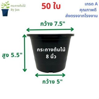 กระถางต้นไม้ 8 นิ้ว (50 ใบ)