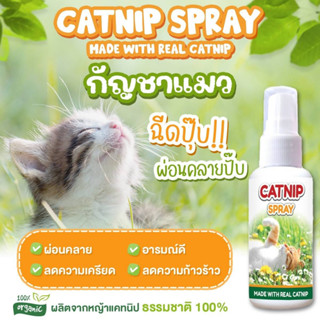 Catnip spray สเปรย์กัญชาแมว ผ่อนคลายแมว อารมณ์ดี ลดความเครียด ลดความก้าวร้าว ดมแล้วฟิน