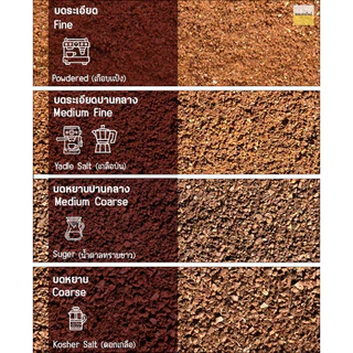 เมล็ดกาแฟคั่ว แม่กก Arabica100% ปางขอน Maekok Coffeer