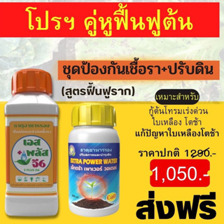 ชุดฟื้นฟูรากและป้องกันเชื้อรา โปรซื้อ2แถม1