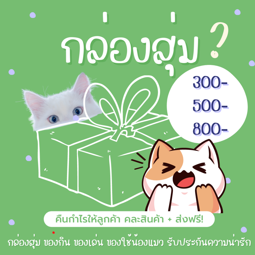 พร้อมส่ง กล่องสุ่มสุดคุ้ม ของกิน ขนม ของเล่น ของใช้แมว