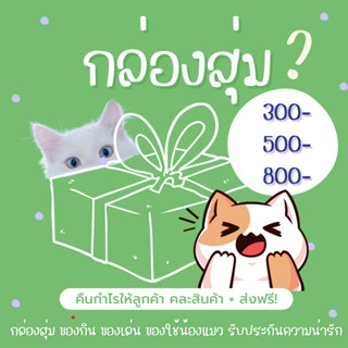 🐱พร้อมส่ง🐱กล่องสุ่มสุดคุ้ม ของกิน ขนม ของเล่น ของใช้แมว