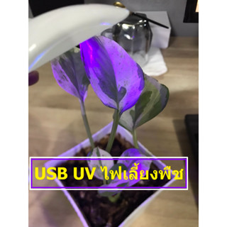 UV ต้นไม้ ปลูกต้นไม้ USB ช่วยในการเจริญเติบโตของพืชในที่ร่ม