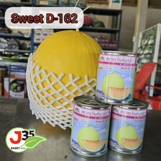 เมล็ดพันธุ์แคนตาลูป sweet D-162 เมล็ดพันธุ์ตราตะวันต้นกล้า  แคนตาลูปลูกเหลือง แคนตาลูปเนื้อส้ม แคนตาลูปหวาน แคนตาลูป