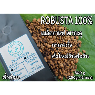 เมล็ดกาแฟคั่ว Robusta100% เขาทะลุ จ.ชุมพร 500g