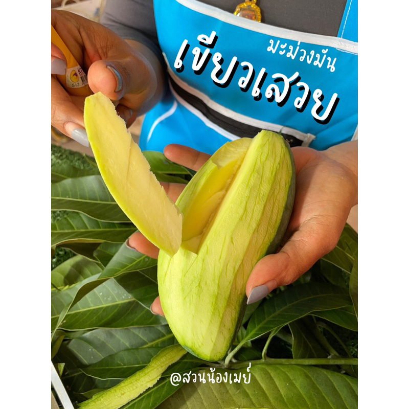 พร้อมส่ง!! เขียวเสวย หวาน มัน!! (ขายเป็นกิโลกรัม)