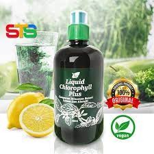 Liquid Chlorophyll Plus คลอโรฟิลล์ พลัส ชนิดน้ำ 500 มล. (คลอโรฟิลล์คอสเวย์) ล้างสารพิษ ต้านอนุมูลอิสระ