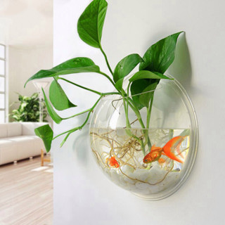 ตู้ปลาอะคริลิค ตู้ปลาแบบติดผนัง Wall Mount Fish Tank ตู้ปลาขนาดเล็ก ตู้ปลากัด ตู้ปลาทอง ตู้ปลา