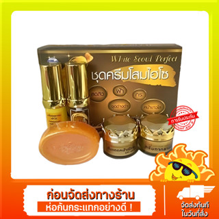 ชุดครีมโสมไฮโซ Premium GINSENG COLLAGEN SOLUTIONกันแดดโสมไฮโซ(ชุดใหญ่มี5ชิ้น)