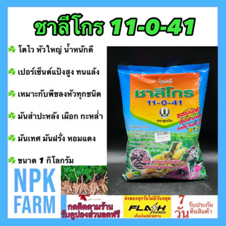 ชาลีโกร (11-0-41) 1 กิโลกรัม ปุ๋ยระเบิดหัวมันทุกชนิด มันสำปะหลัง หอมแดง หัวหอม เผือก เร่งแป้ง หัวใหญ่ ทนแล้ง npkplant