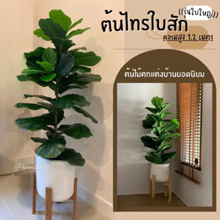 ((สินค้าใหม่ ต้นไม้ปลอมขนาดใหญ่)) ต้นไทรใบสักปลอม สูง 1-1.2 เมตร 🌿ต้นไม้ปลอม พร้อมกระถางและหินขาวฟรี‼️