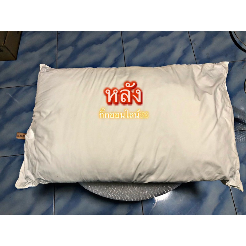 Depex ดีเพ็กส์ไทยไฮเตอร์มาเลย์ มีอย.2ขวดขนาด500ml.น้ำยาซักผ้าขาวขจัดคราบฝั่งแน่น - รูปที่ 3