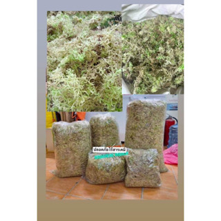 sphagnum mossสดfreshเกรดA 1kgสะอาดเก็บเศษใบไม้ออกให้แล้ว เหมาะกับการเพราะปลูก เลี้ยงสัตว์เช่น กบ หอย แมงมุม และอีกมากมาย