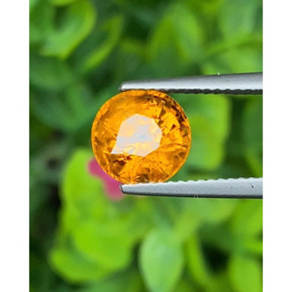 พลอย บุษราคัม Yellow Sapphire 3.86 กะรัต (Cts.)