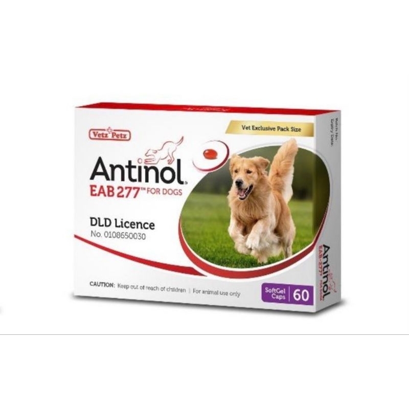 Antinol DOG แบ่งขาย บรรจุ 30 เม็ด (หมดอายุ 3/2025)อาหารเสริม บำรุงข้อสุนัข ข้ออักเสบ