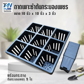 ถาดเพาะชำต้น กระบองเพชรแคตตัส กว้าง10xยาว10xสูง3นิ้ว พร้อมกระถางต้นกระบองเพชร กระถางแคตตัส ราคาถูก TMN_Hubs