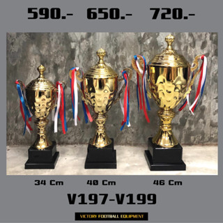 V197-V199 ถ้วยรางวัล3055