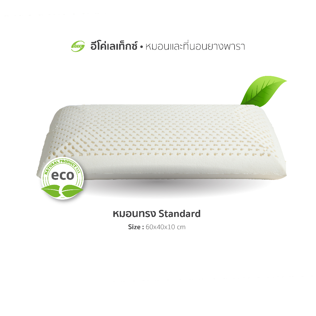 อีโค่ เลเท็กซ์ หมอนยางพารา ทรงStandard : 60x40x10 cm