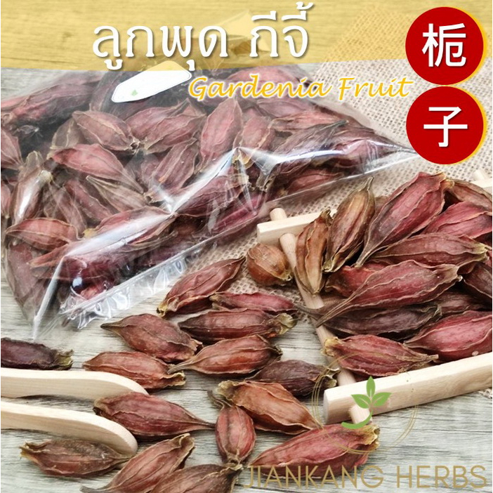 ลูกพุด เม็ดพุด 100 200 กรัม ลูกพุดจีน กีจี้ ให้น้ำเก๊กฮวยมีสีเหลืองสวย Gardenia Fruit 栀子 Zhi Zi