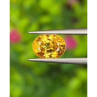 พลอย บุษราคัม Yellow Sapphire 1.25 กะรัต (Cts.)