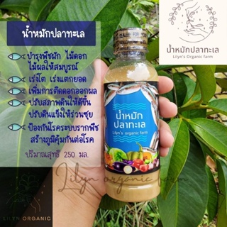 น้ำหมักปลาทะเล 🐟 Lilyns organic farm ปุ๋ยน้ำชีวภาพ กระตุ้นการเจริญเติบโตของพืช บำรุงพืชผักไม้ดอกให้สมบูรณ์ แข็งแรง