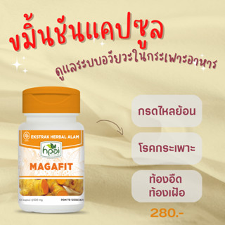 ขมิ้นชันแคปซูล 100%  50 แคปซูล Magafit