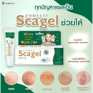 Cybele Scagel เจลบำรุงผิว ขนาด 9 กรัม ,19 กรัม (1หลอด)