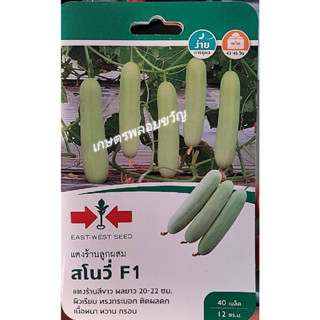 เมล็ดพันธุ์ แตงร้าน แตงขาว 🥒สโนวี่🥒16/09/2567 ทรงกระบอก ยาว 20-22 ซม. ติดผลดก เนื้อเยอะ เม็ดน้อย หวาน กรอบ ผลมีสีขาว อมเ