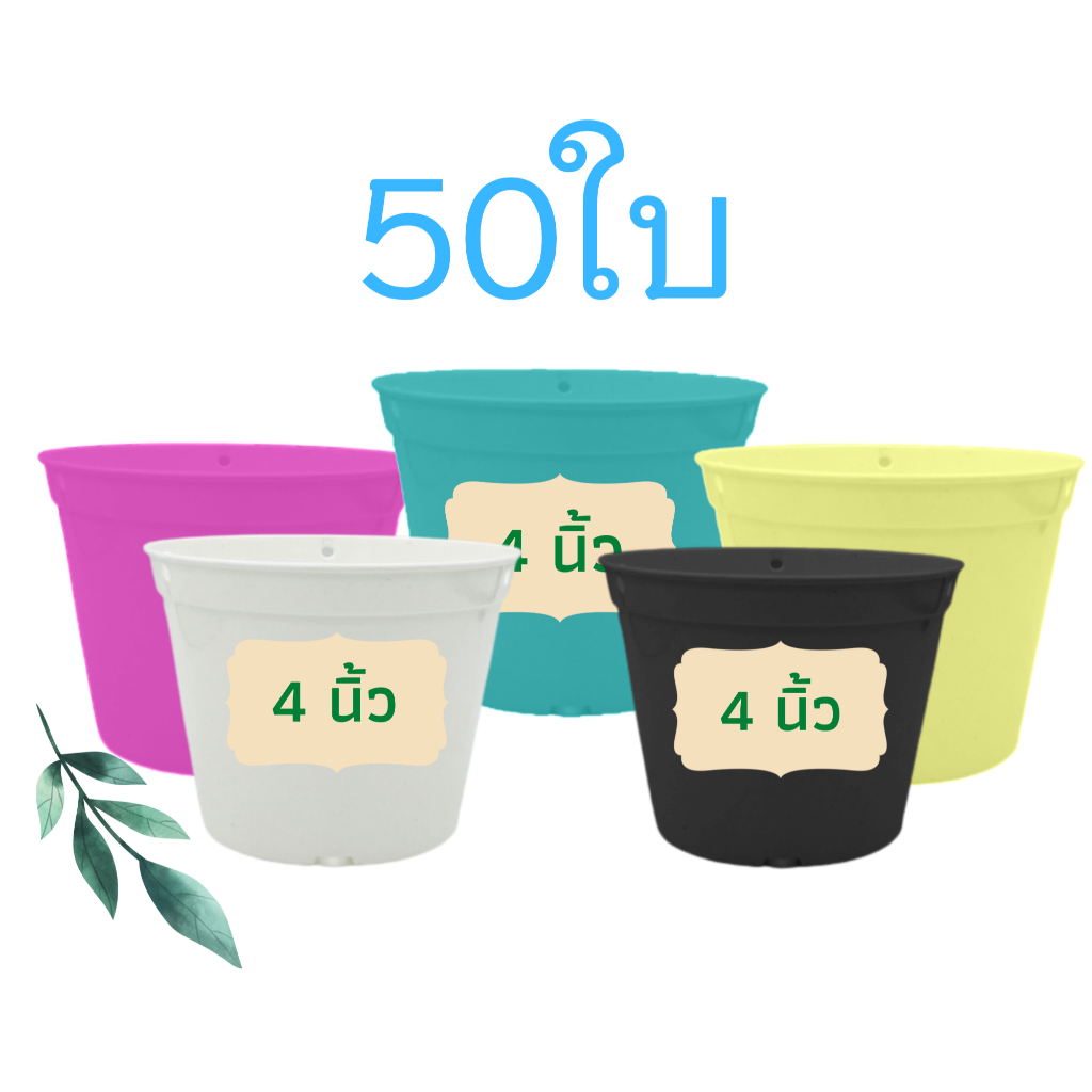 กระถางต้นไม้พลาสติก 4 นิ้ว กระถางแคตตัส กระถางกระบองเพชร 4 นิ้ว แพ็ค 50 ใบ สีดำ สีขาว ราคาส่ง