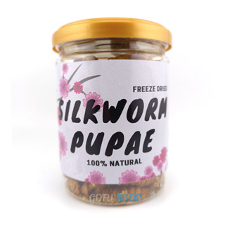 หนอนไหมอบฟรีซดราย Freeze Dried Silk Worm Pupaes สำหรับสัตว์กินแมลง ชูการ์ไกรเดอร์ เม่นแคระ กระรอก หนูแฮมสเตอร์ ทะเลทราย