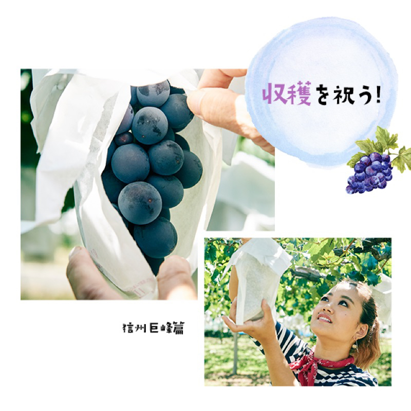 (รอบส่ง 15 กุมภาพันธ์) JIMOTO Pocky: ป็อกกี้ยักษ์ 18 ชิ้น สุดยอดของดีจาก 8 จังหวัดในญี่ปุ่น - รูปที่ 5