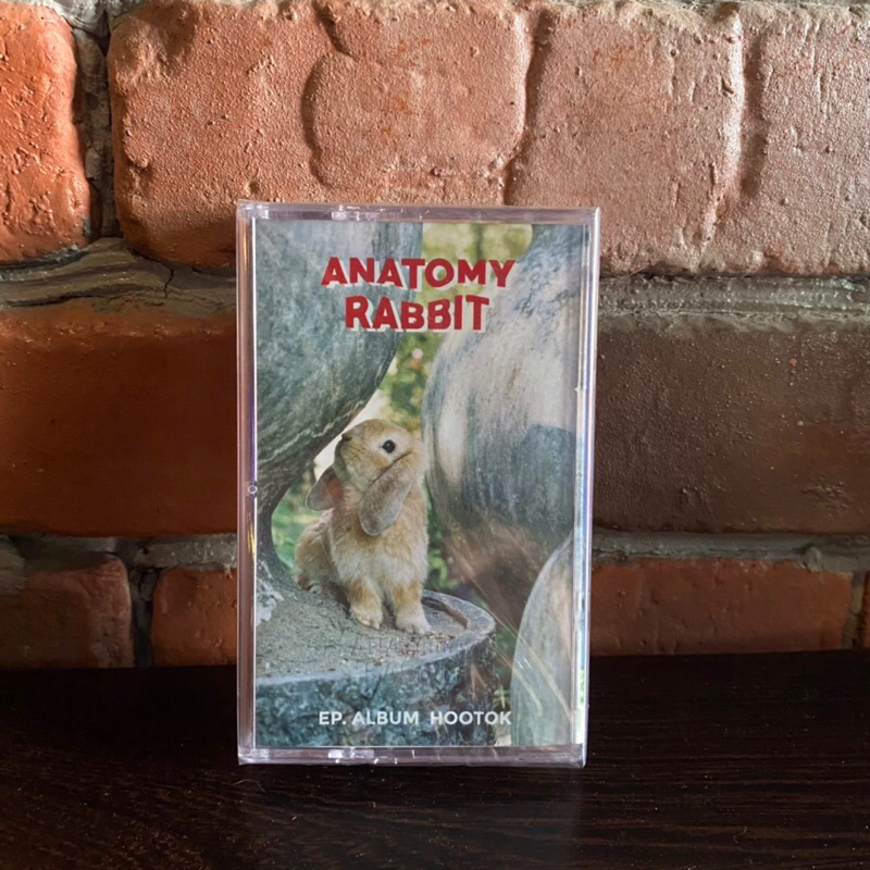 Cassette Tape เทปเพลงไทย Anatomy Rabbit - EP Album Hooktok (0053)