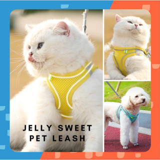 [🚚 พร้อมส่ง] สายจูงแมว Jelly Sweets Pet Leash สายจูงสุนัข