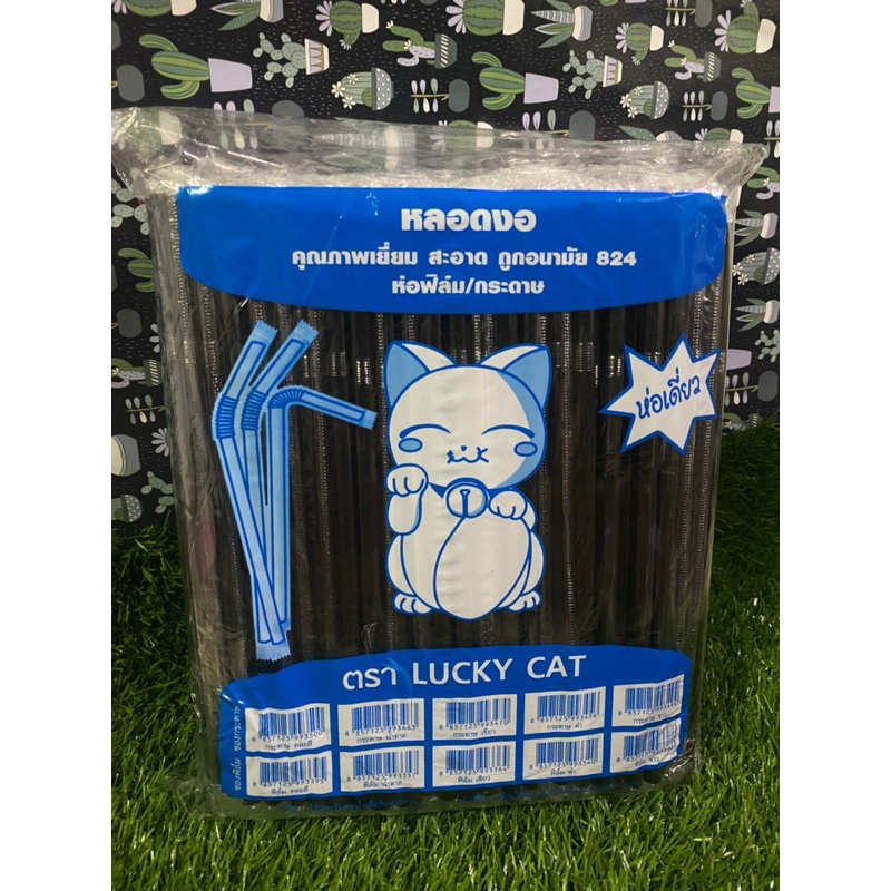 รูปภาพ 2