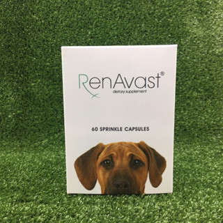 RenAvast DOG อาหารเสริม บำรุงไตสุนัข