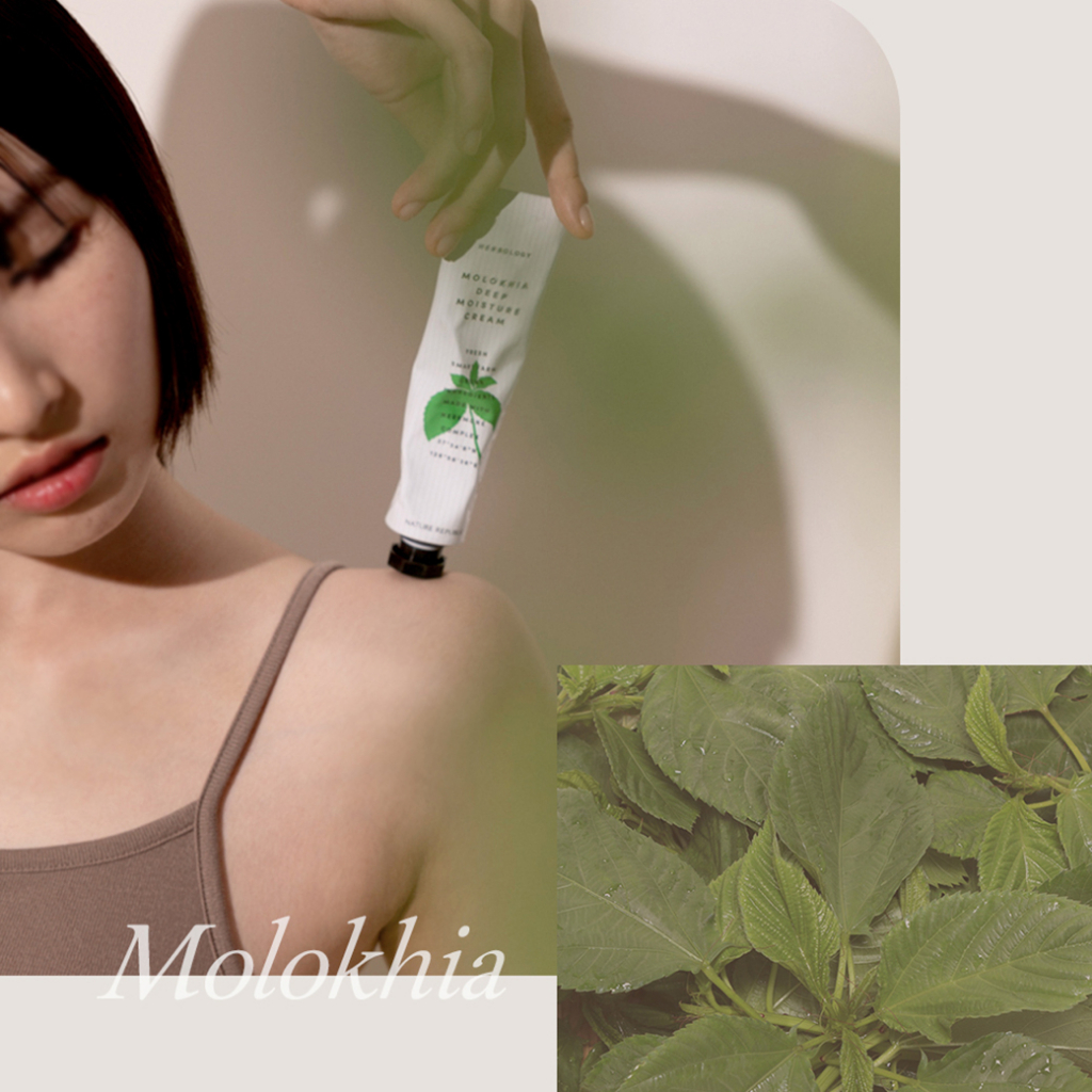 NATURE REPUBLIC HERBOLOGY MOLOKHIA DEEP MOISTURE CREAM (70ml) nature