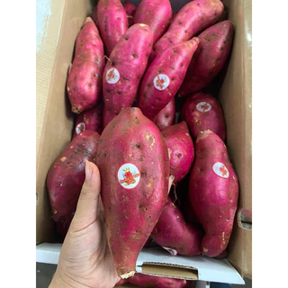 พร้อมส่ง‼️1KG มันหวานญี่ปุ่นสด เบนิฮารุกะปลูกเวียดนาม sweet potato