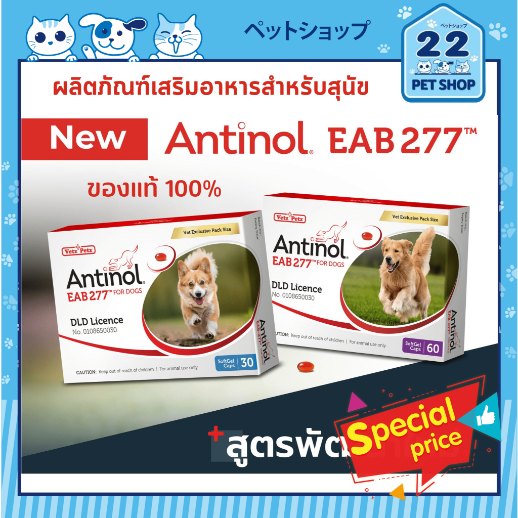 Antinol EAB277 for Dogs (60 แคปซูล) ผลิตภัณฑ์เสริมอาหารสำหรับสุนัข ของแท้ 100%